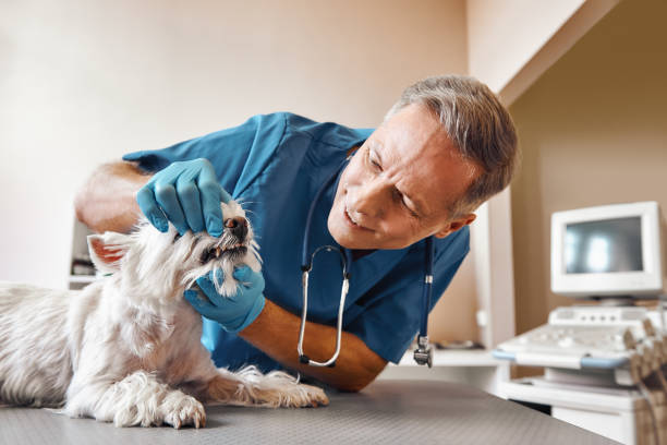 Best After-Hours Dental Care in Berry Hill, TN